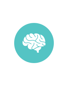 Cortex