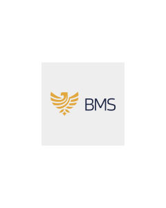 BMS Sociedade de Crédito Direto
